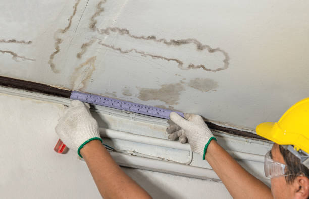 Reliable Emergency Water Damage Restoration contractor in New Castle, CO by Water Damage Irwin